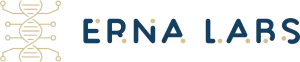 Erna Labs